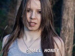 SMALL_HONEY