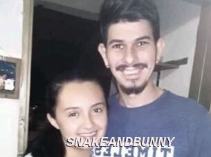 SNAKEANDBUNNY