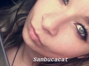 Sambucacat