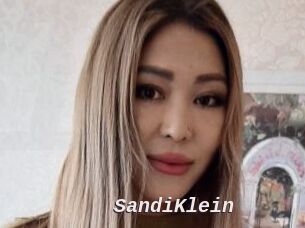 SandiKlein