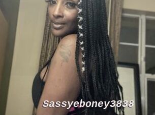 Sassyeboney3838