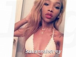 Savannah_Grey