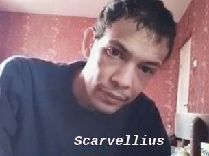 Scarvellius