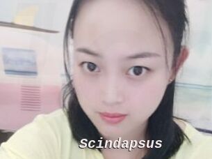 Scindapsus