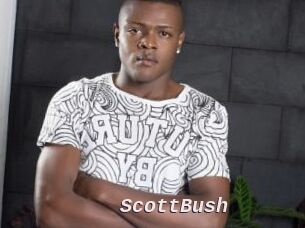 ScottBush