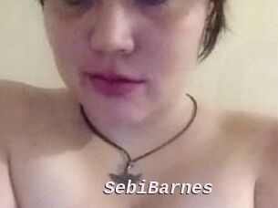 Sebi_Barnes