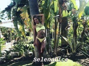 SelenaDice