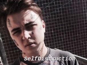 SelfDistruction