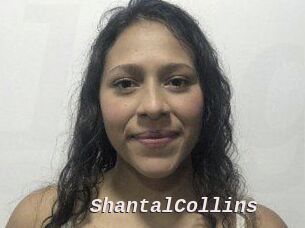 ShantalCollins Live Camgirls Sex