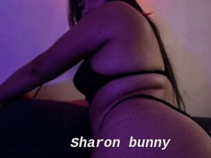 Sharon_bunny