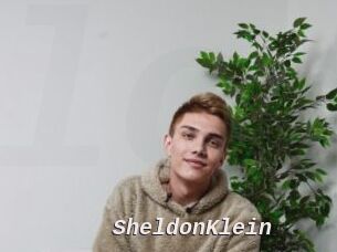 SheldonKlein