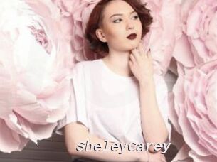 SheleyCarey