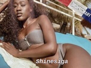 Shinesiga