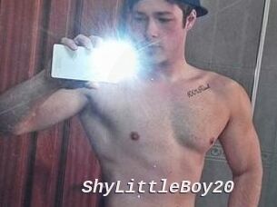 ShyLittleBoy20