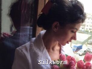 Silkworm