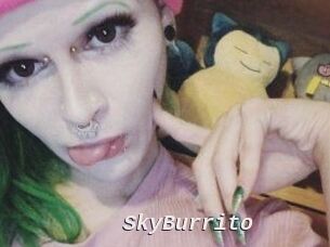 SkyBurrito