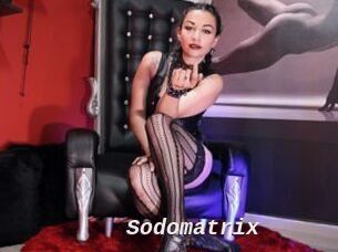 Sodomatrix