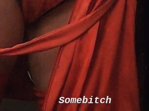 Somebitch