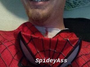 SpideyAss