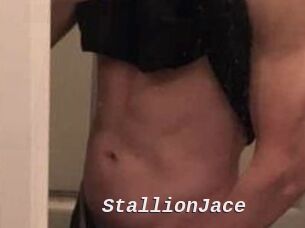 StallionJace