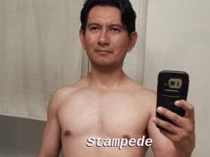 Stampede