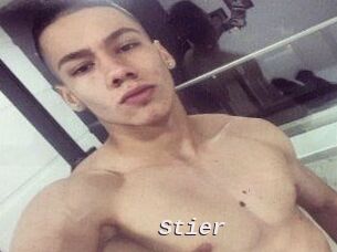Stier