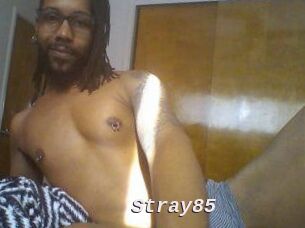 Stray85
