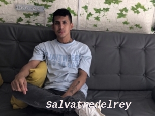 Salvatredelrey