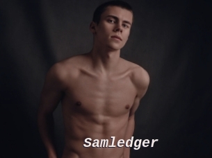 Samledger