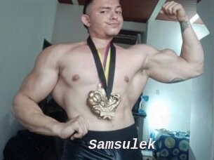 Samsulek