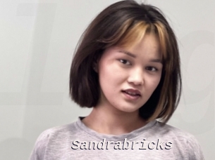Sandrabricks