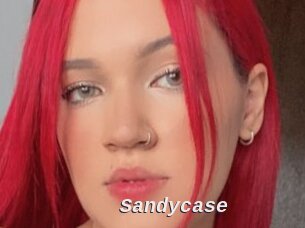 Sandycase