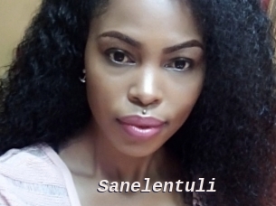 Sanelentuli