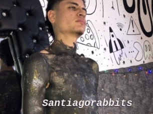 Santiagorabbits