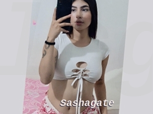 Sashagate