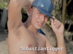 Sebastiantigger