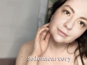 Selenacartery