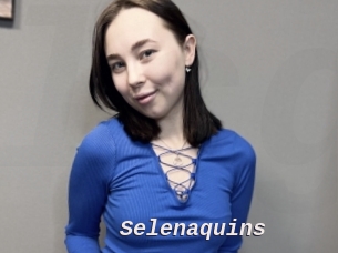 Selenaquins