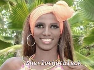 Sharlothotblack