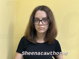 Sheenacawthorne