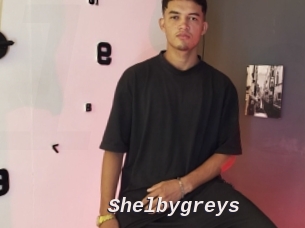 Shelbygreys
