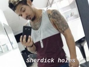 Sherdick_holes