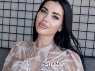 Shibo