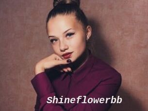 Shineflowerbb