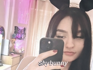 Shybunny