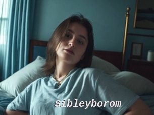 Sibleyborom