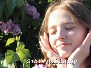 Sibleyhalloway
