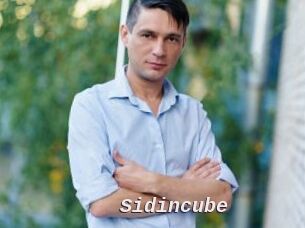 Sid_incube