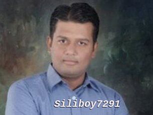 Siliboy7291