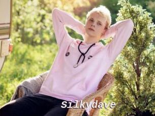 Silkydave
